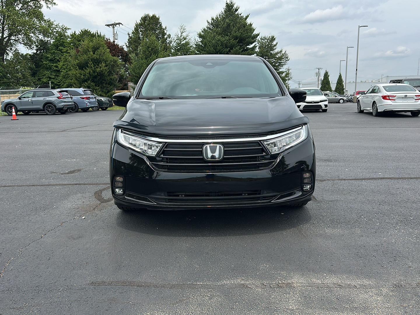 2024 Honda Odyssey EX-L