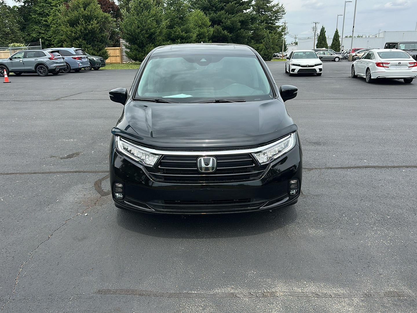 2024 Honda Odyssey EX-L