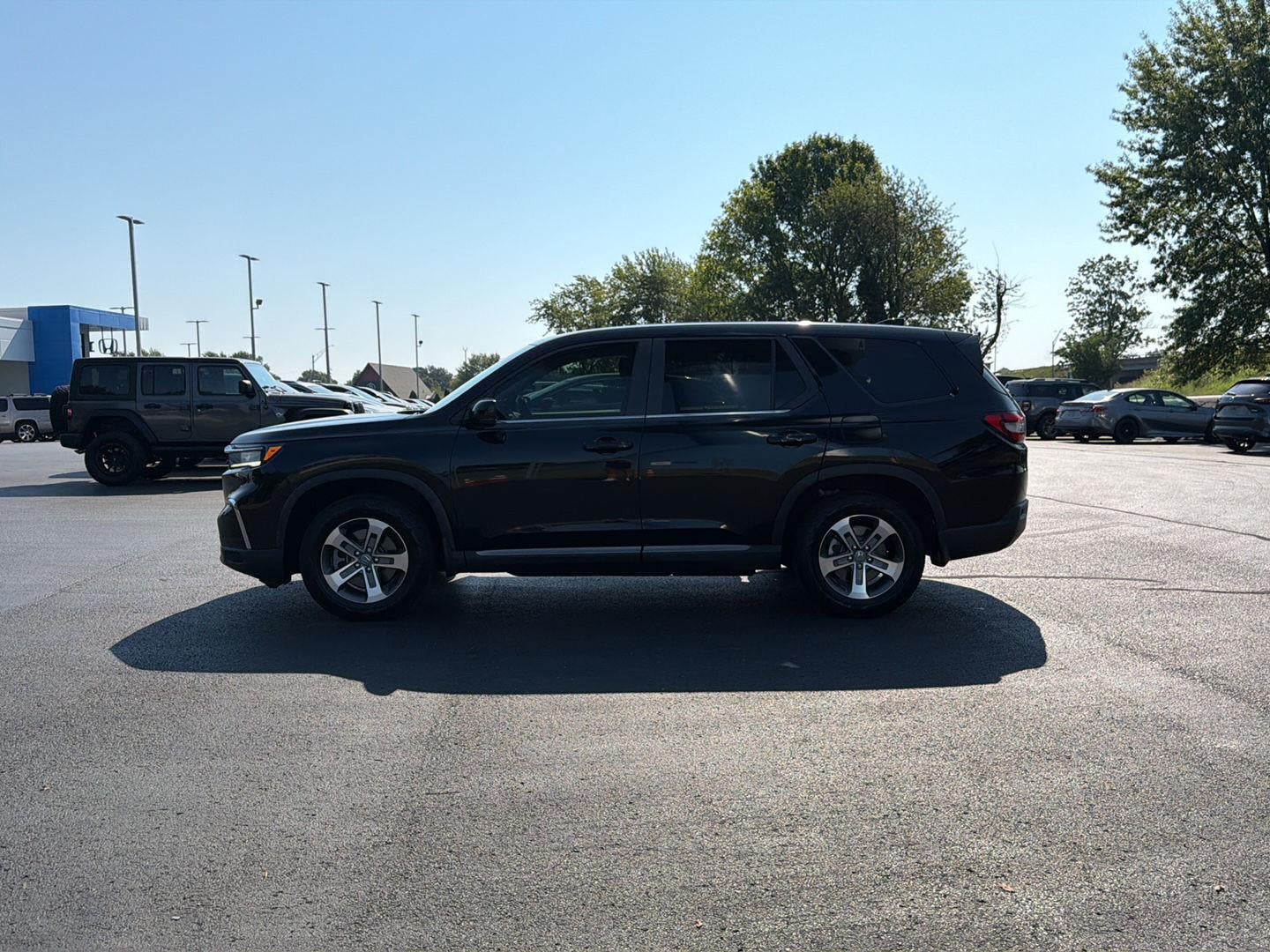 2024 Honda Pilot EX-L 7 Passenger